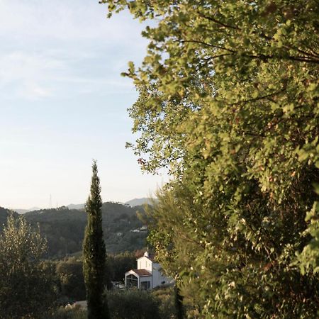 B&B La Fustaia Sarzana Kültér fotó